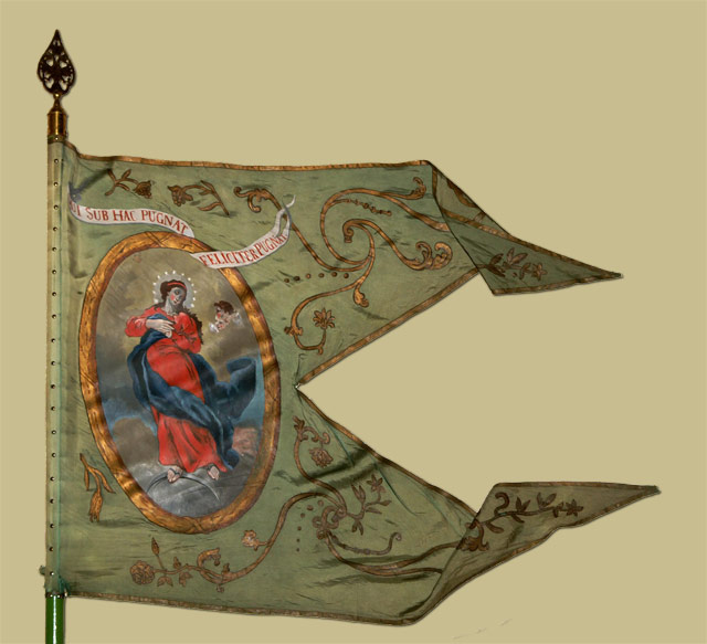 Pest vármegyei nemesi felkelők lovasságának zászlaja - XVIII. század vége 1
