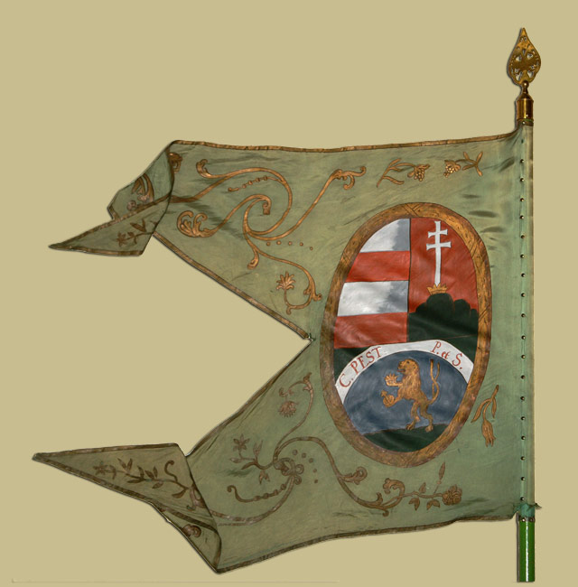 Pest vármegyei nemesi felkelők lovasságának zászlaja - XVIII. század vége 2