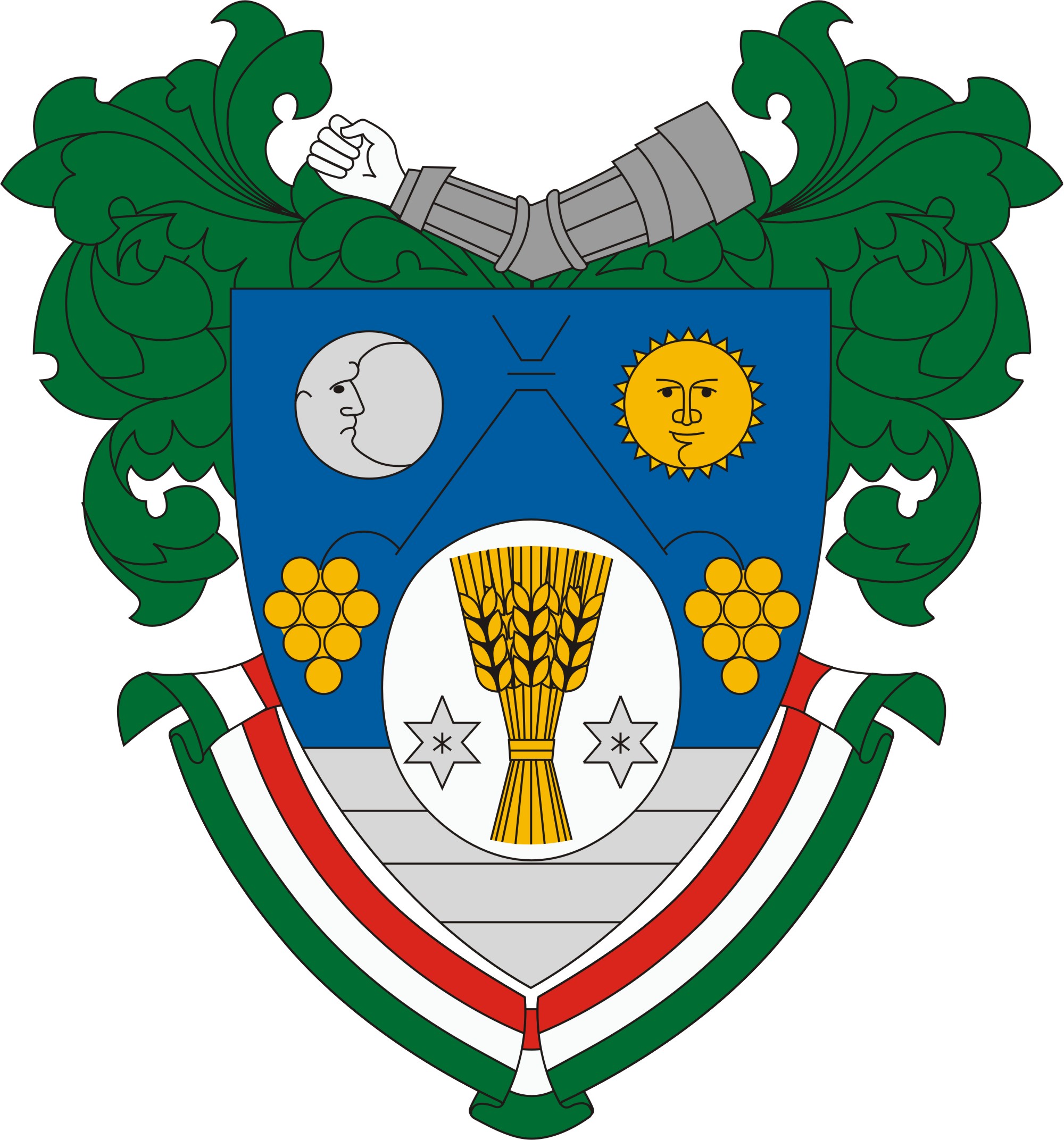 Dunavecse város címere Dunavecse város